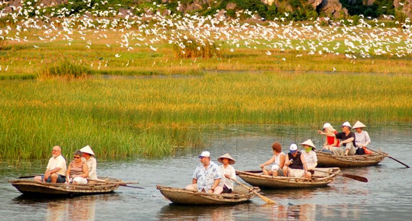 Van Long Nature Reserve Day Tour