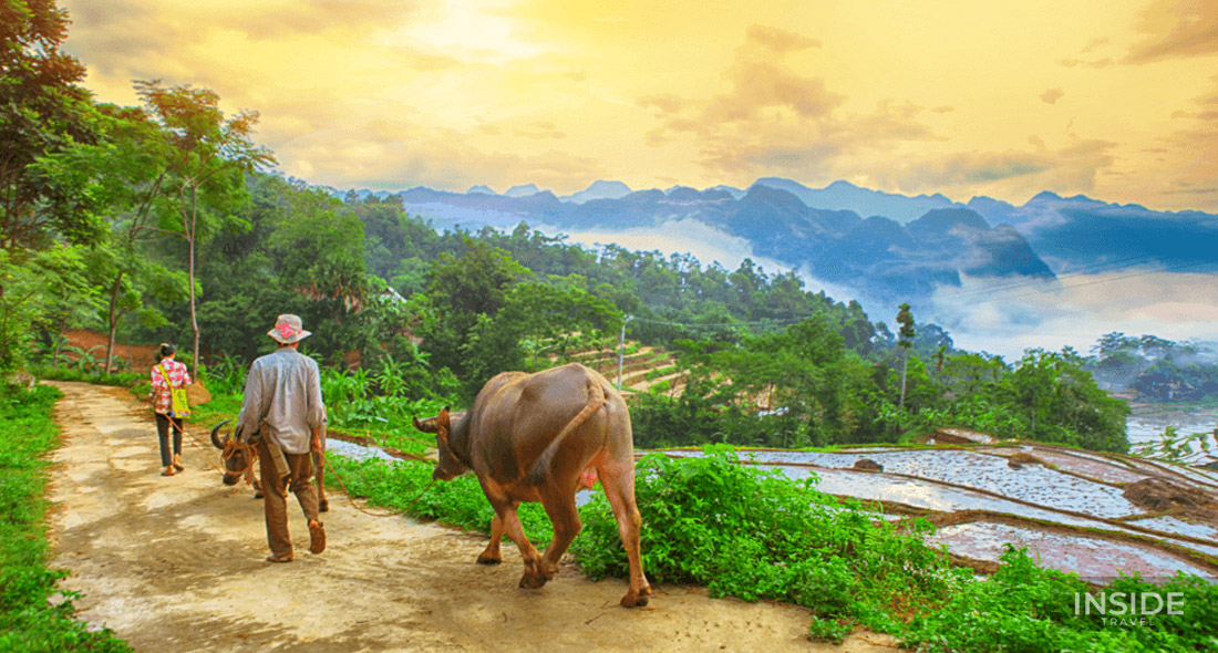 Mai Chau & Pu Luong Hidden Trail